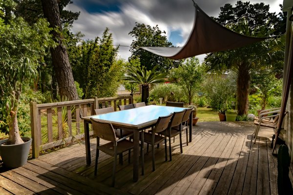 Which Native UK Shrubs Provide the Best Privacy Screen in Urban Areas?